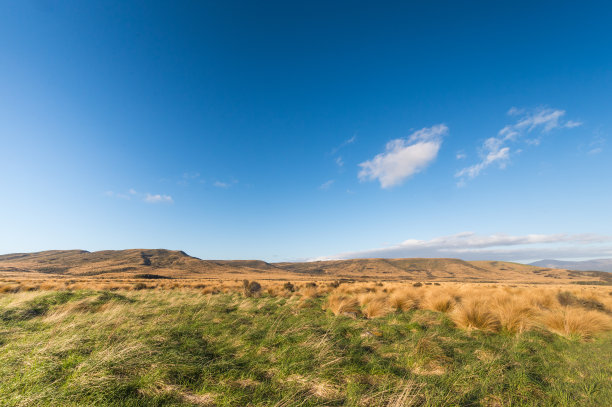 新西兰南岛的全景自然景观是新西兰最著名的旅游景点图片下载
