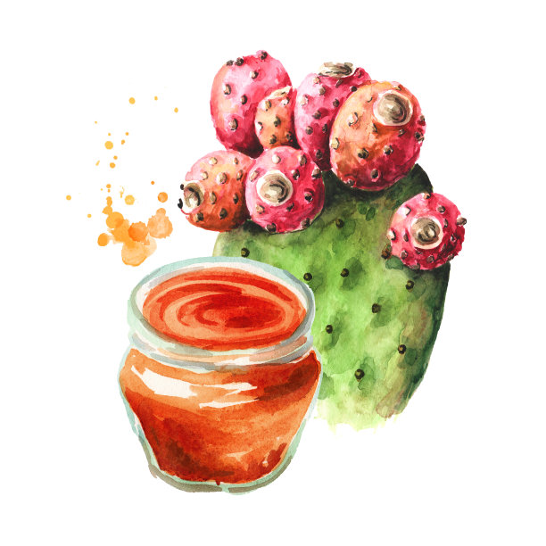 仙人球果酱。水彩手绘插图，孤立的白色背景图片下载