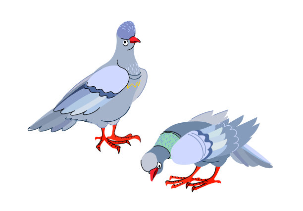 一对蓝色的都市鸽子滑稽的人物图片下载