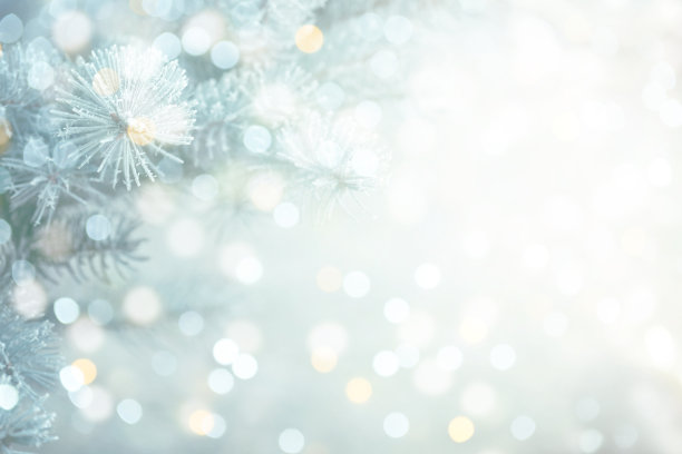 圣诞树上结了霜图片下载