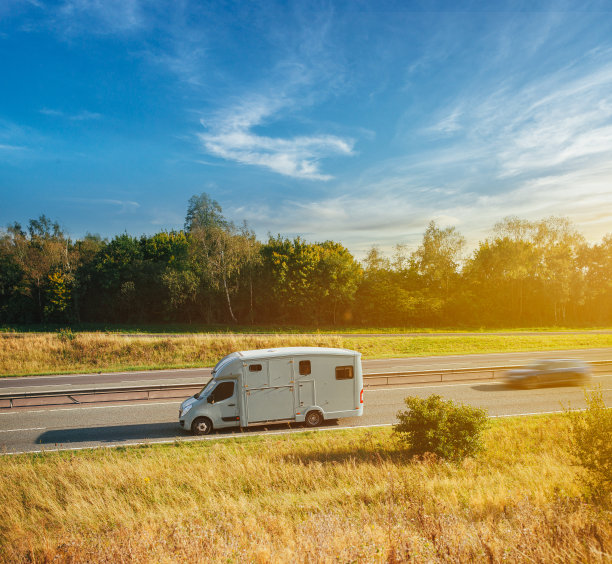 马在高速公路上运输卡车图片下载
