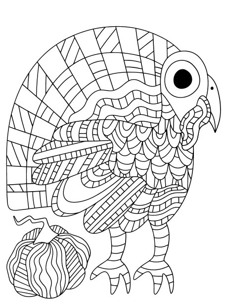 火鸡鸟和南瓜矢量着色页的儿童和成人图片下载