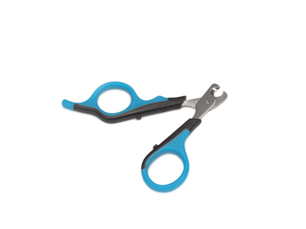 打开剪刀，为白色背景上的宠物狗或猫制作爪子图片下载