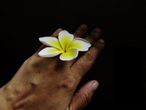 生活充满了希望图片下载