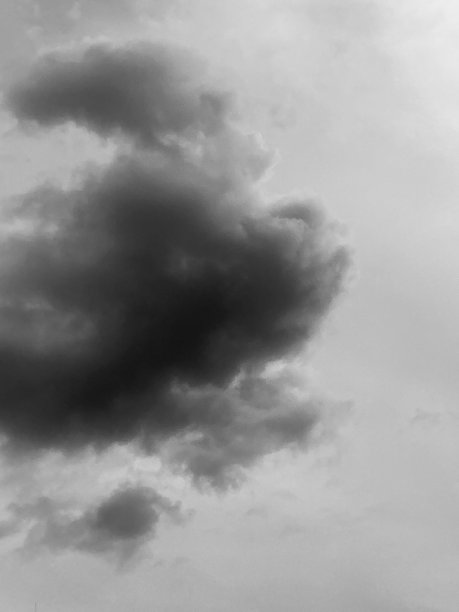 奇怪的怪物鱼图片下载