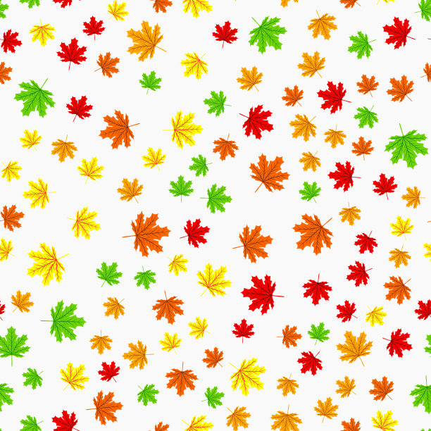美丽的手绘枫叶与现代线枫形状和秋叶元素无缝图案矢量层时尚，织物，和所有的印花在深绿色图片下载