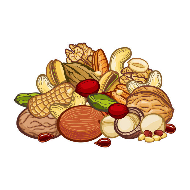 坚果收集分类孤立在白色背景图片下载