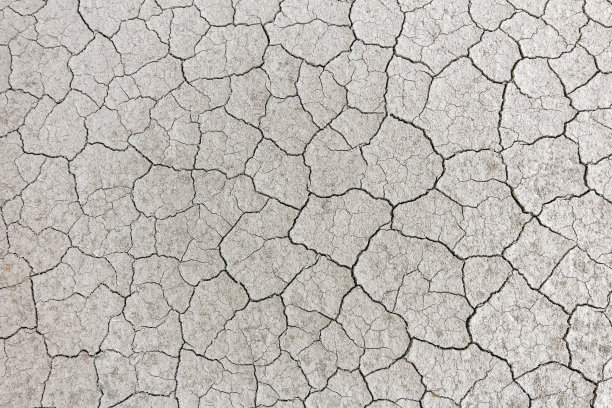 了土壤图片下载