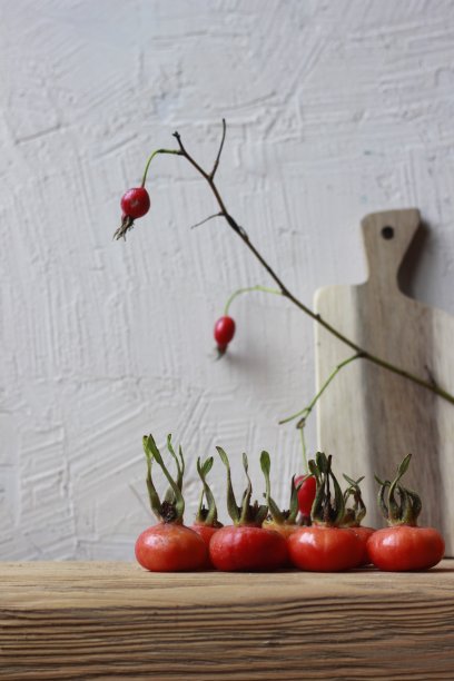 静物画图片下载