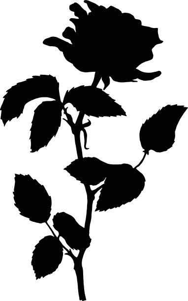 植物剪影孤立玫瑰图片下载