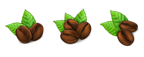 带叶子的大咖啡豆。矢量图图片下载