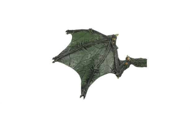 青龙的翅膀孤立在白色的背景上图片下载