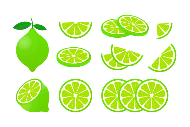 青柠与绿叶，柑橘切片孤立在白色背景。矢量插图。图片下载