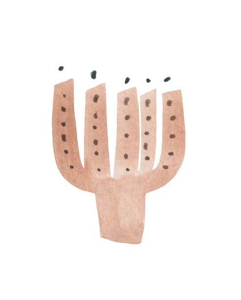 原始主义风格的干花水彩画图片下载