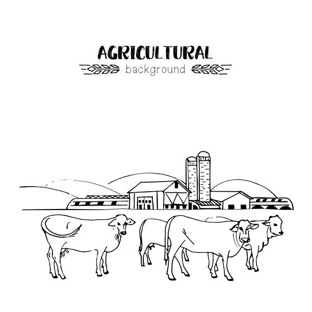 奶牛，农业综合体，素描插图图片下载