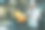 厨师正在厨房里搅拌蔬菜。图片下载