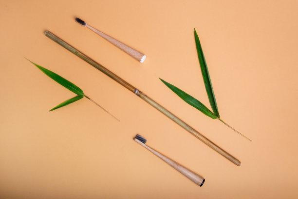 俯视图新鲜的竹叶和牙刷使用无废物技术在米色的背景。52、合理意识利用自然资源，保护环境。图片下载