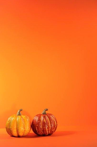 两个南瓜图片下载