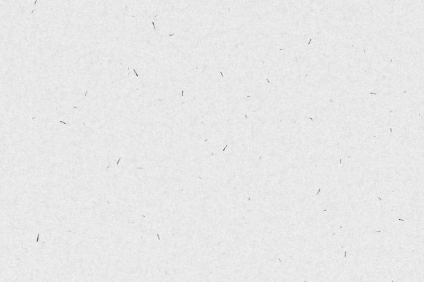 白皮书显示详细的纸张纹理背景。使用背景的任何内容。图片下载