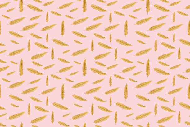 图案用金蕨叶装饰，圣诞装饰。图片下载