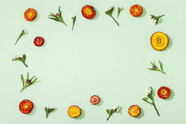 花组成。用不同的干花做成的框架。花的设计背景。图片下载