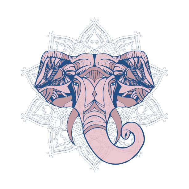 民族大象肖像孤立在白色图片下载