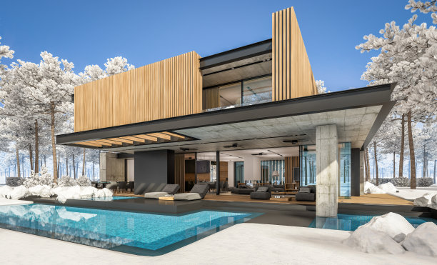 现代住宅的3d渲染与木板立面在冬天图片下载
