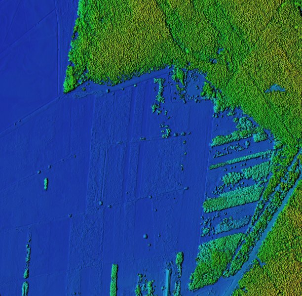 森林区域的数字高程模型图片下载