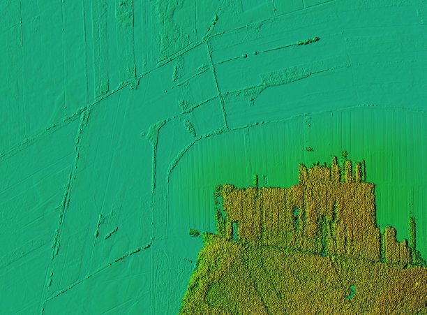 森林区域的数字高程模型图片下载