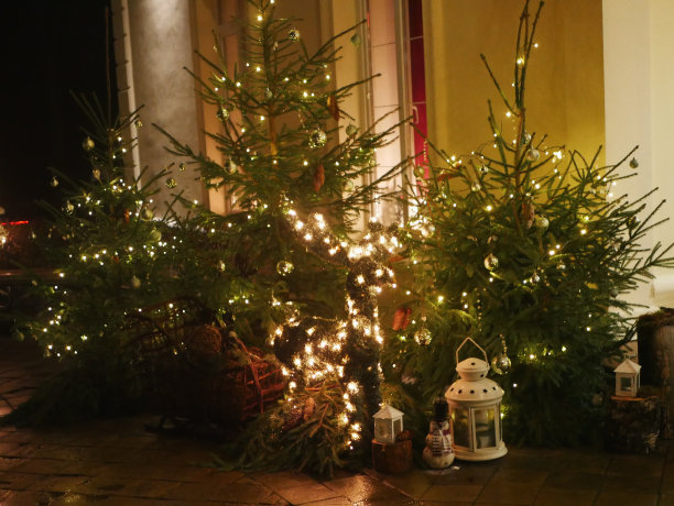 圣诞家装在黄昏图片下载