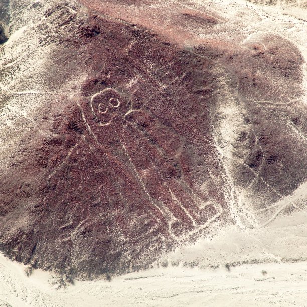 宇航员，纳斯卡或纳斯卡地理图案图片下载