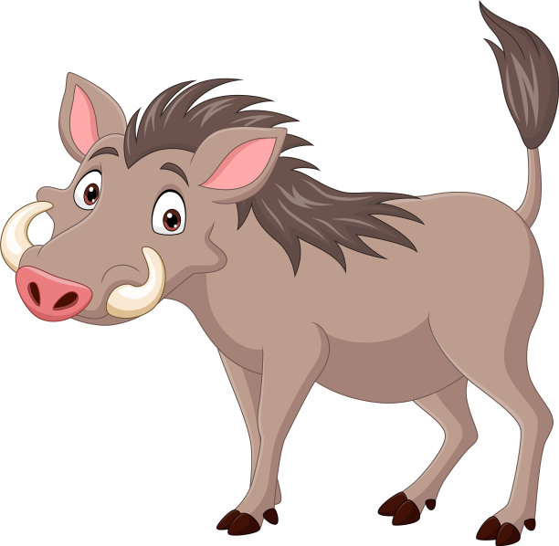 卡通疣猪孤立的白色背景图片下载