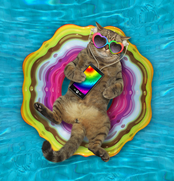 猫咪在泳池里听音乐图片下载