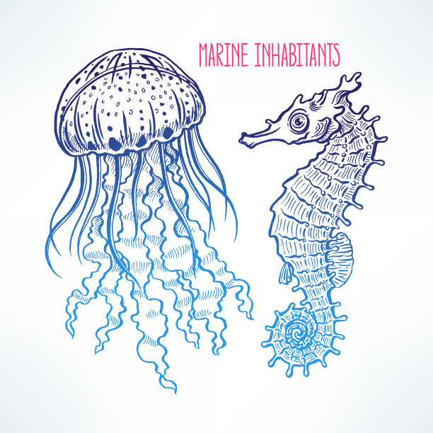 手绘的海马和水母图片下载