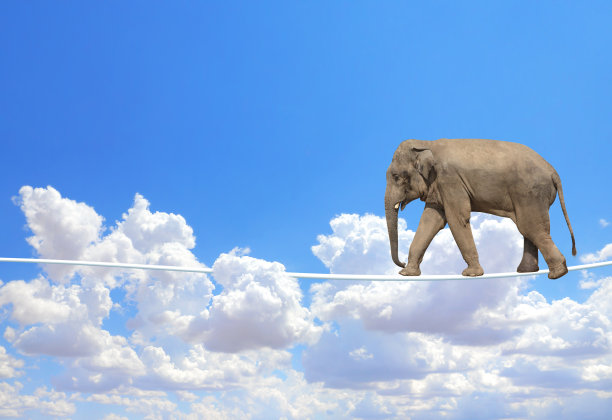 在蓝天背景上，大象在绳子上行走图片下载