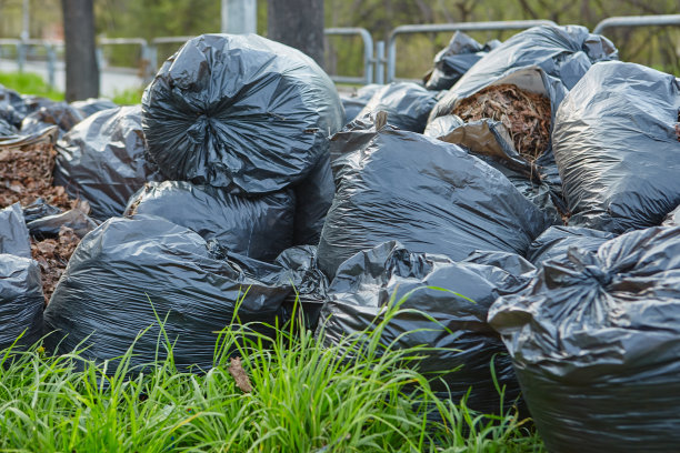 人行道上的塑料袋里装着秋天的落叶。清理城市的街道。清洁地球的概念。图片下载