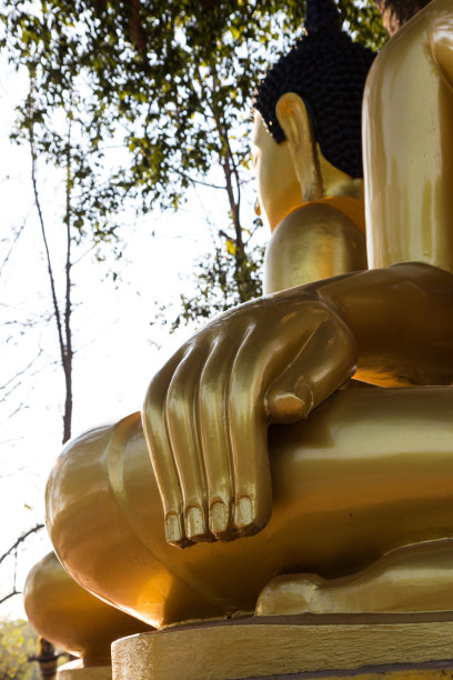 近距离地佛。图片下载