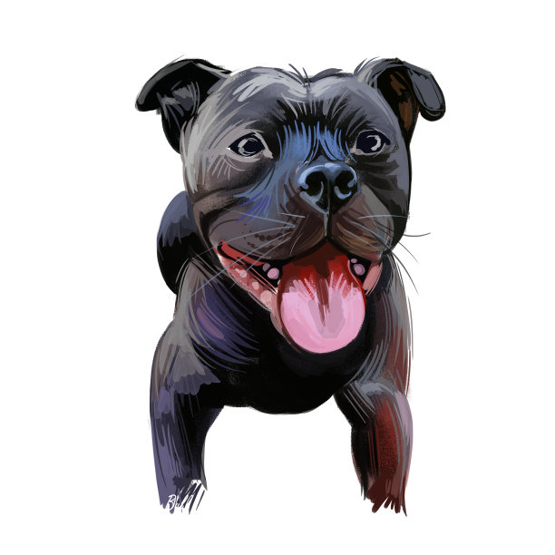 斯塔福德郡斗牛梗斯塔菲，短毛品种，小到中等大小。数字艺术。动物水彩肖像特写孤立的口吻的宠物，狗手绘剪贴动物绘图图片下载