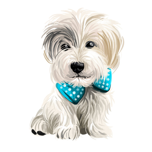 运动卢卡斯梗犬品种的梗类型的狗孤立在白色。数字艺术。动物水彩肖像特写孤立的口吻的宠物，狗手绘剪贴画，动物绘图。图片下载