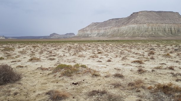 神奇的哈萨克沙漠在乌斯特高原，哈萨克斯坦，中亚图片下载