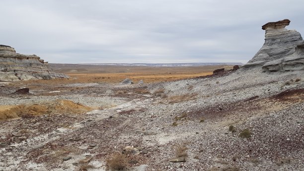 中亚哈萨克斯坦西部乌斯提尔特高原独特的地质图片下载