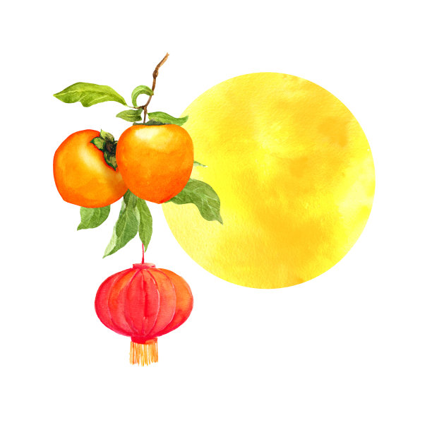 柿子枝与红色的节日灯笼和在背景的芒。秋夕水彩画，中秋节。中国新年图片下载