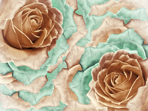 花橙色背景玫瑰。花和花瓣的橙色和绿松石玫瑰。文本。大自然。图片下载