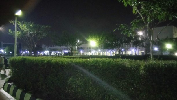 雕刻的灌木丛图片下载