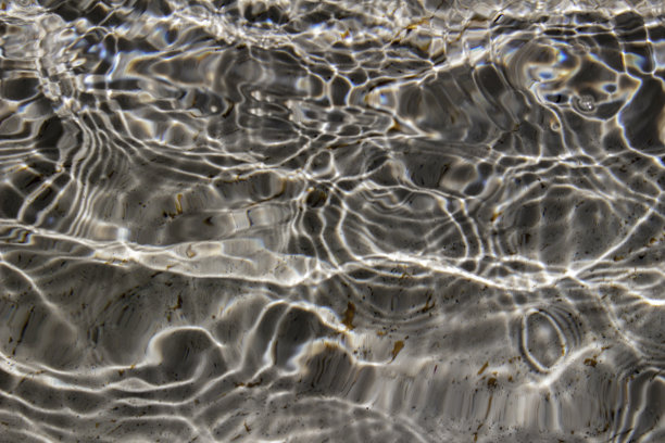 水的涟漪在阳光下闪闪发光的照片作为背景材料图片下载