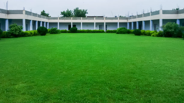 绿色花园被建筑包围图片下载