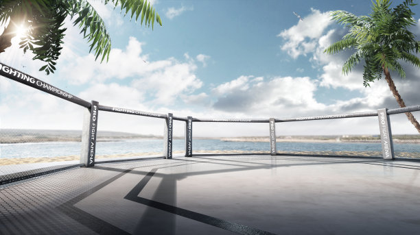 岛战斗。3 d MMA竞技场。冠军而战。MMA锦标赛在阿布扎比Yas岛的位置。3D插图。八角形在岛上。全景图片下载