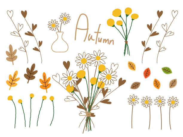 秋天的花图片下载