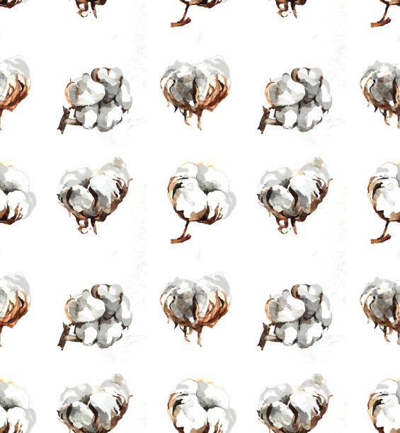 水彩棉花花孤立的白色无缝模式。图片下载