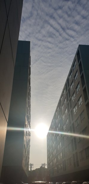 阳光和建筑物。图片下载